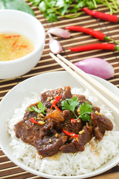 Delicious Vietnamese Caramelized Pork Recipe
