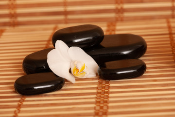 Black massage rocks decorated with flower in a dark and light bamboo background