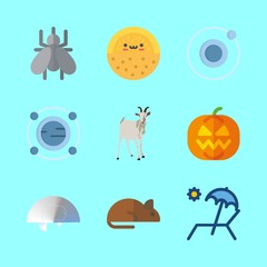 nature icons set. vitamin, fiction, travel and trick graphic works