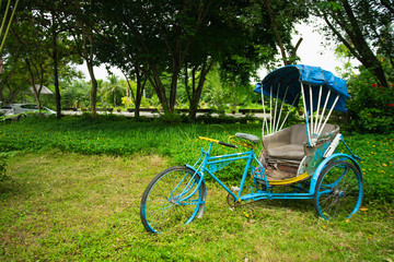 Fototapeta na wymiar Tricycle on the green grass in the garden.