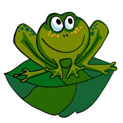 Funny frog on the leaf