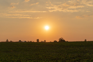 Sonnenuntergang bei einem Feld