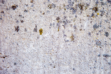 Fragment of a wall from a chipped stone.