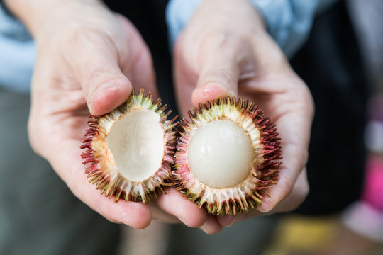 Hand squeezed open pulasan fruit with sweet juicy flesh