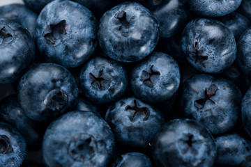 Fresh blueberry