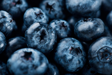 Fresh blueberry