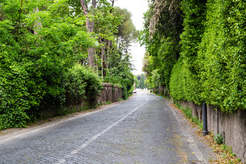 Fototapeta na wymiar アッピア街道（ローマ、イタリア）ー古代ローマの幹線道路