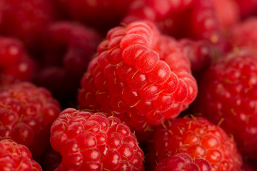 Fresh and sweet raspberries