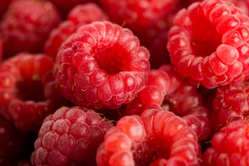 Fresh and sweet raspberries