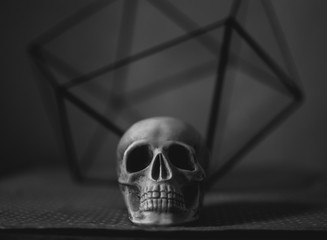 Pale skull against a  florarium on the table. Shady living room interior. Spooky concept