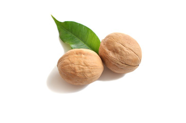 Walnut and green leaf on white background isolate
