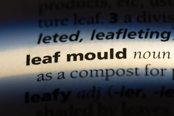leaf mould