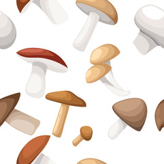 Seamless pattern. Different mushrooms illustration on white background. Vector flat style