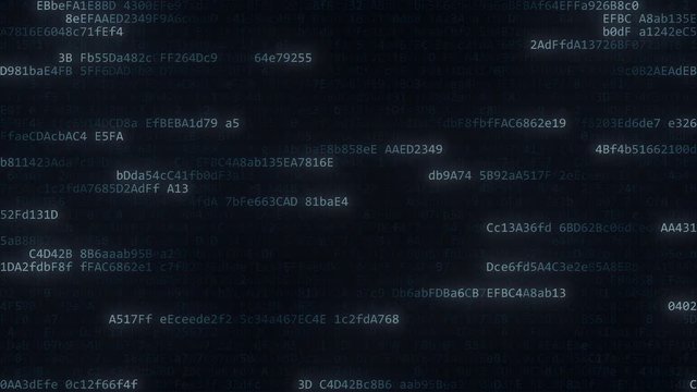 Data counter streams. Computer code symbols on the screen