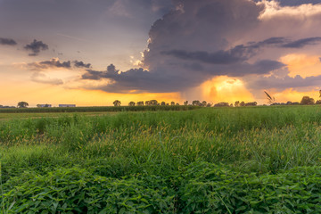 countryside panorama at sunset