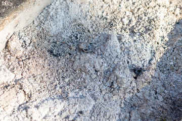 Burned grey charcoal ash in a grill 