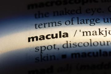 Obraz premium macula