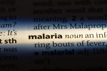 malaria