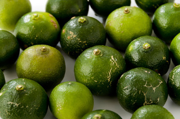 シークヮーサー