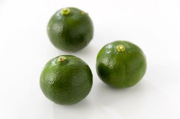 シークヮーサー