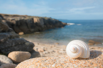 Playsage de Bretagne Kerroch