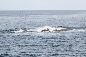 Fototapeta premium Playsage de Bretagne Kerroch