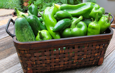 Fresh Garden Vegetables