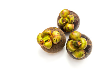 Tropical mangosteen fruit isolated on white background