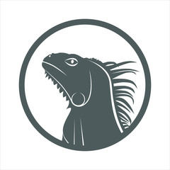 Iguana graphic icon. Iguana head grey sign in the circle isolated on white background. Vector illustration