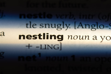 nesting