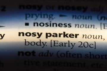 nosy parker