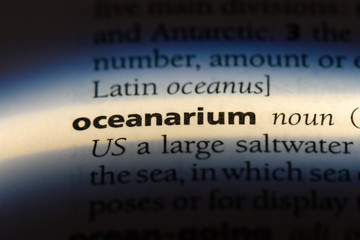 oceanarium