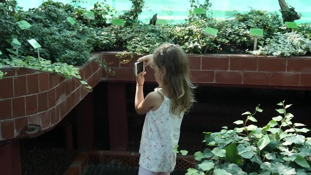 Little child girl takes mobile phone pictures of variety of plants in a greenhouse of the botanical garden