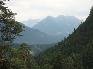 traumhafte Berge, Nebel, Wolken, Wald