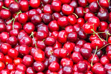 Close up of pile of ripe cherries with stalks. Large collection of fresh red cherries. Ripe cherries background