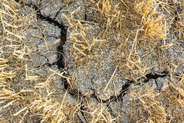 Close-up view from above of the cracked, dry soil in a field of wheat recently harvested in the french countryside.