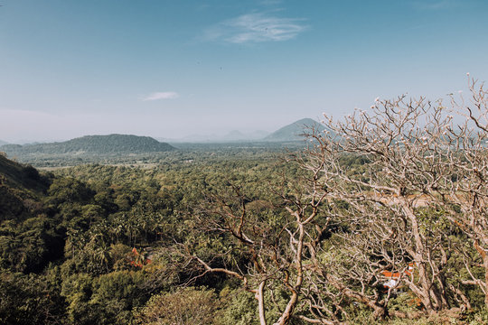 Landscape of the pearl of the Indian Ocean