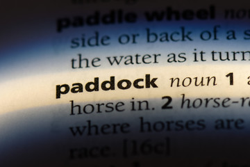 paddock