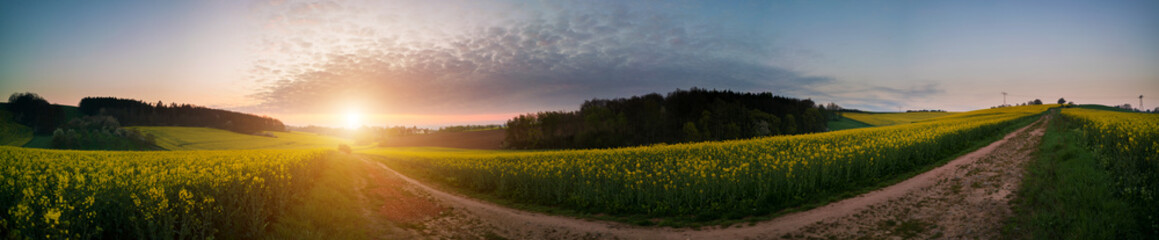 Naklejka na ściany i meble panorama rural summer landscape with a road