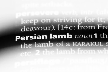 persian lamb