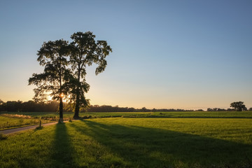 Fototapeta premium Sunset near the lush fields near Delden in the region of Twente (Overijssel, The Netherlands). This region has a lot of these landscapes, mostly with farms. It's in the eastern part ofthe Netherlands