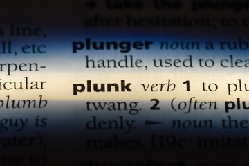 plunk