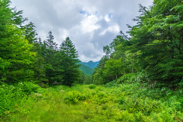 乗鞍高原　三本滝