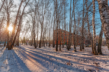 Urban landscape. Berdsk, Novosibirsk region, Russia