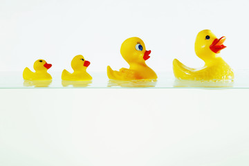 Rubber ducks floating on water - Powered by Adobe