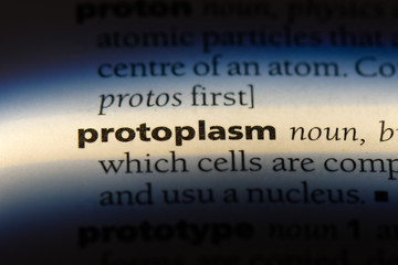 protoplasm