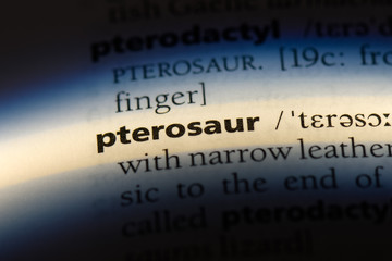 pterosaur © Casimiro