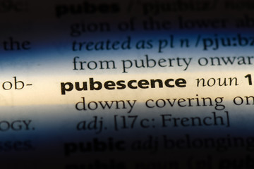 pubescence
