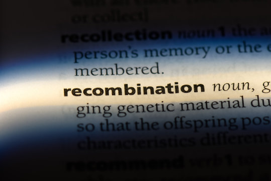 Recombination