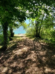 Etang de verdure